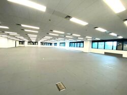 Robinson 77 (D1), Office #451948311